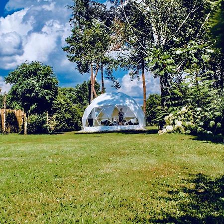 B Our Guest At Your Cozy Hideaway Dome Near Dresden Frauendorf  Екстериор снимка
